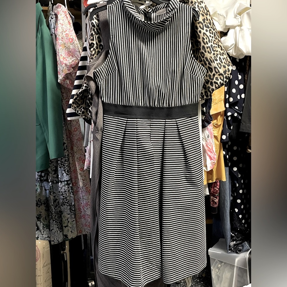 Eva Mendes Black and White Pleated Sheath Dress